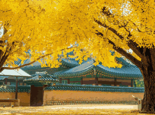 韩国外贸数据,外贸数据,royal皇家88(集团) 外贸数据 韩国外贸数据,外贸数据,royal皇家88(集团) 外贸数据